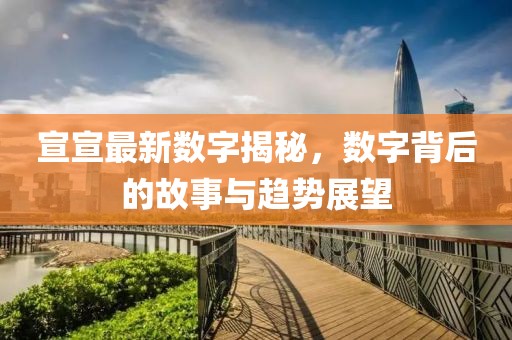 宣宣最新數字揭秘，數字背后的故事與趨勢展望