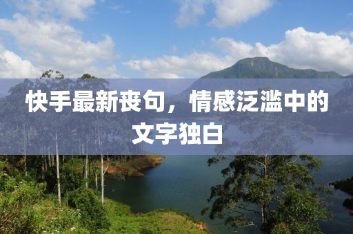 快手最新喪句，情感泛濫中的文字獨(dú)白