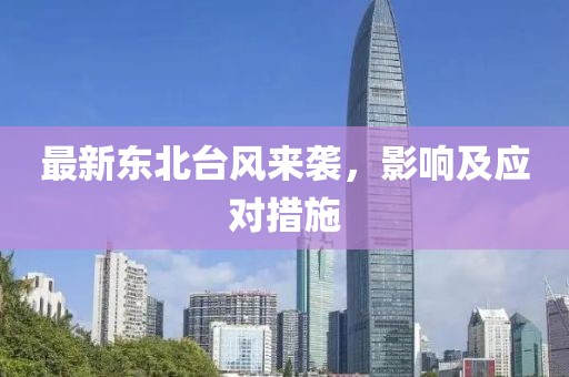 最新東北臺風(fēng)來襲，影響及應(yīng)對措施