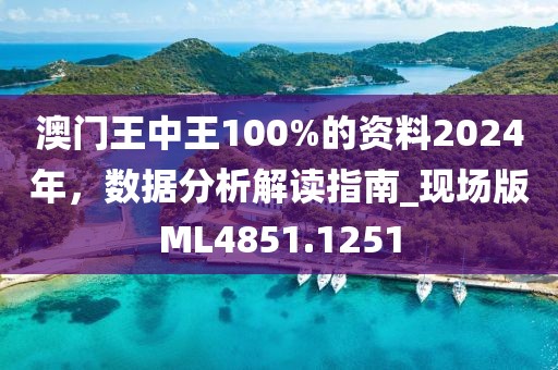 澳門王中王100%的資料2024年，數(shù)據(jù)分析解讀指南_現(xiàn)場版ML4851.1251