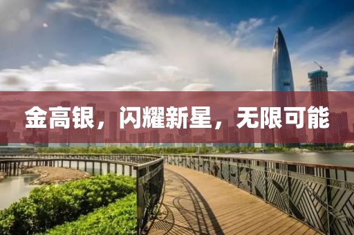 金高銀，閃耀新星，無限可能