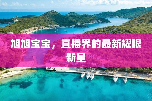 旭旭寶寶，直播界的最新耀眼新星