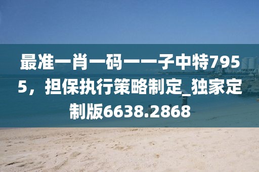 最準(zhǔn)一肖一碼一一子中特7955，擔(dān)保執(zhí)行策略制定_獨(dú)家定制版6638.2868