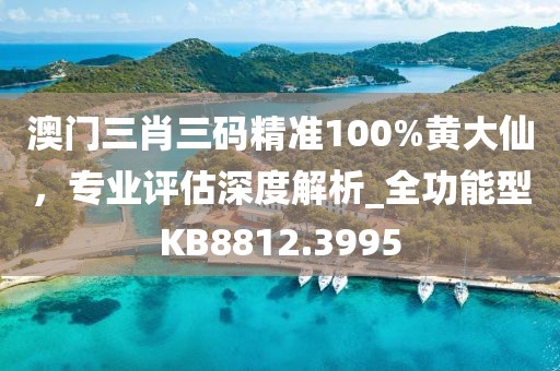 澳門三肖三碼精準(zhǔn)100%黃大仙，專業(yè)評估深度解析_全功能型KB8812.3995