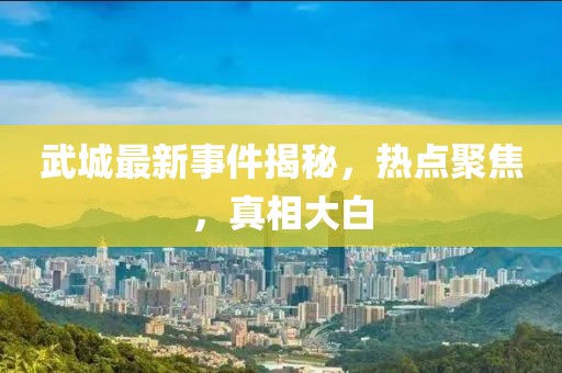 武城最新事件揭秘，熱點聚焦，真相大白