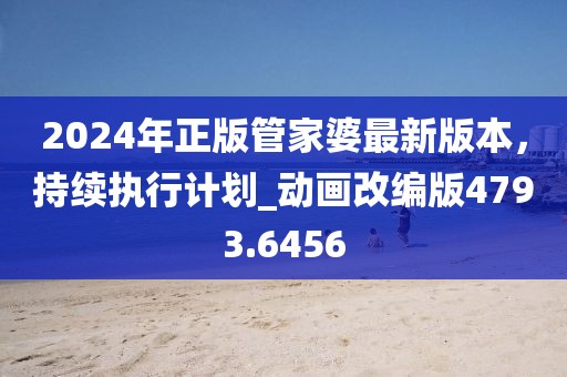 2024年正版管家婆最新版本，持續(xù)執(zhí)行計劃_動畫改編版4793.6456