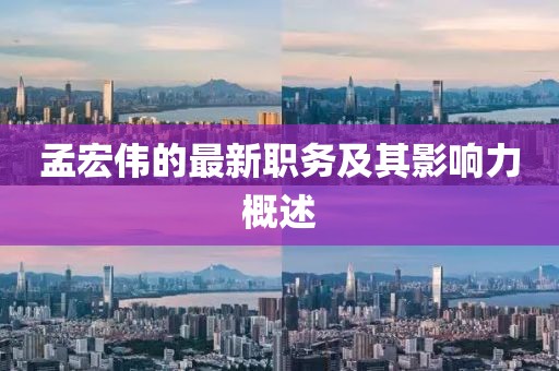 孟宏偉的最新職務(wù)及其影響力概述