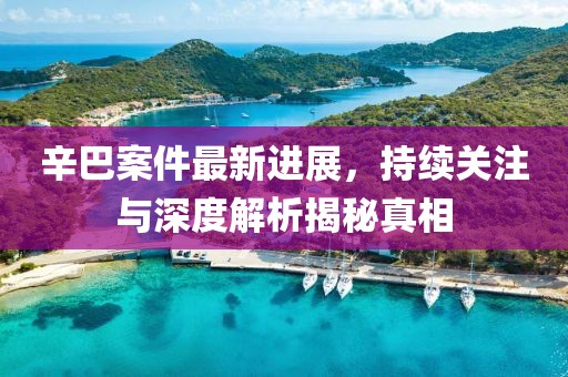 辛巴案件最新進(jìn)展，持續(xù)關(guān)注與深度解析揭秘真相
