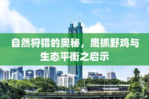 自然狩獵的奧秘，鷹抓野雞與生態(tài)平衡之啟示