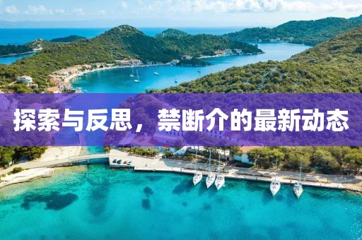探索與反思，禁斷介的最新動(dòng)態(tài)