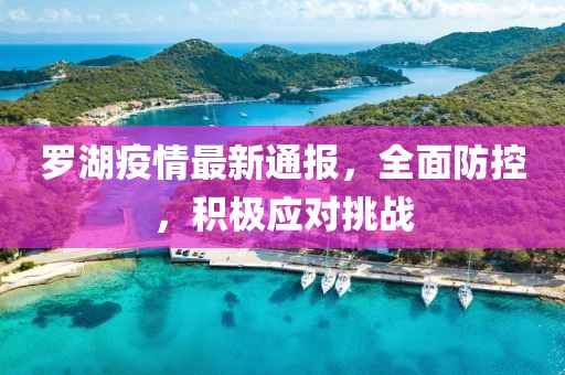 羅湖疫情最新通報，全面防控，積極應(yīng)對挑戰(zhàn)
