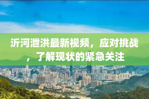 沂河泄洪最新視頻，應(yīng)對挑戰(zhàn)，了解現(xiàn)狀的緊急關(guān)注