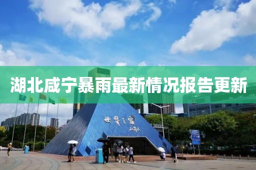 湖北咸寧暴雨最新情況報(bào)告更新