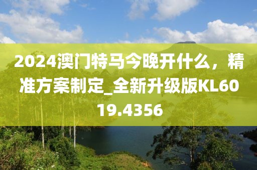2024澳門特馬今晚開什么，精準(zhǔn)方案制定_全新升級版KL6019.4356