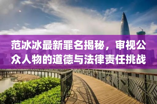 范冰冰最新罪名揭秘，審視公眾人物的道德與法律責任挑戰(zhàn)