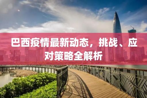 巴西疫情最新動(dòng)態(tài)，挑戰(zhàn)、應(yīng)對策略全解析