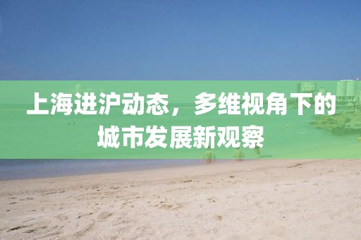 上海進滬動態(tài)，多維視角下的城市發(fā)展新觀察