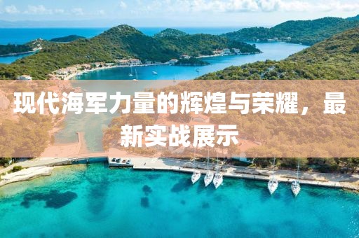 現(xiàn)代海軍力量的輝煌與榮耀，最新實(shí)戰(zhàn)展示