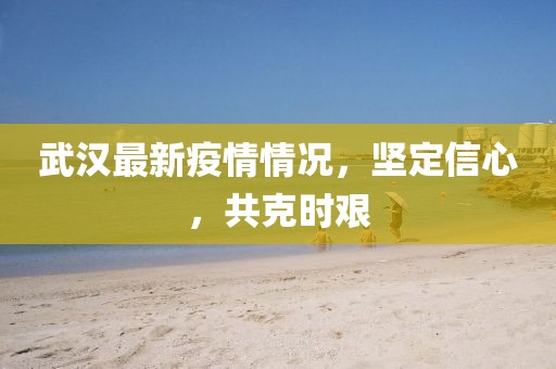 武漢最新疫情情況，堅(jiān)定信心，共克時(shí)艱