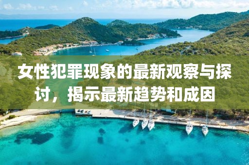 女性犯罪現(xiàn)象的最新觀察與探討，揭示最新趨勢和成因