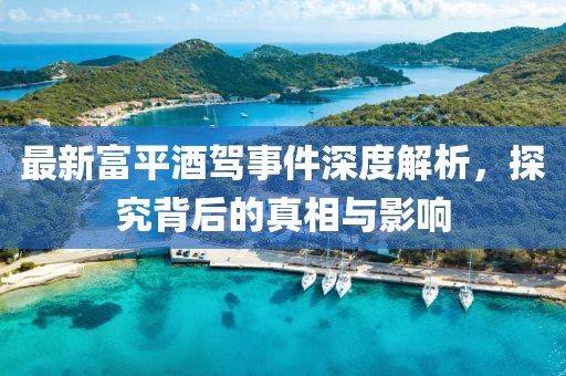 最新富平酒駕事件深度解析，探究背后的真相與影響