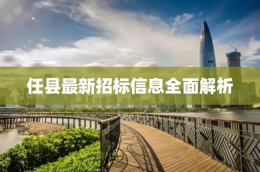 任縣最新招標信息全面解析
