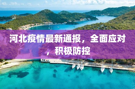河北疫情最新通報，全面應對，積極防控