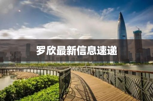 羅欣最新信息速遞