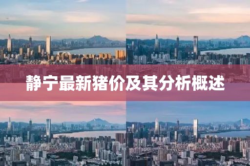 靜寧最新豬價(jià)及其分析概述