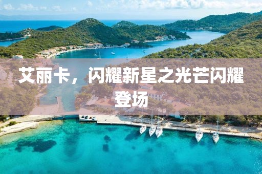 艾麗卡，閃耀新星之光芒閃耀登場(chǎng)