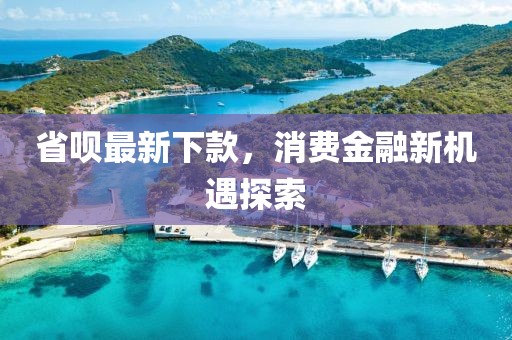 省唄最新下款，消費(fèi)金融新機(jī)遇探索