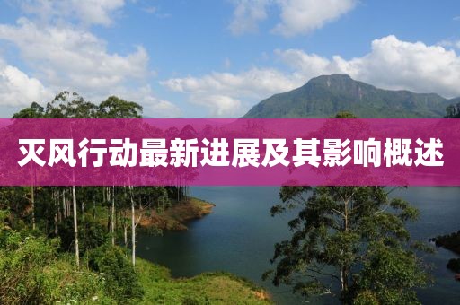 滅風(fēng)行動最新進展及其影響概述