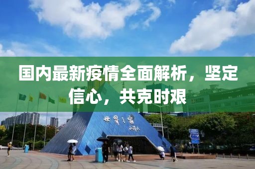 國(guó)內(nèi)最新疫情全面解析，堅(jiān)定信心，共克時(shí)艱