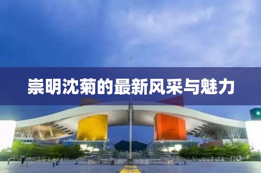 崇明沈菊的最新風(fēng)采與魅力