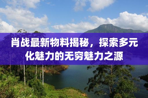 肖戰(zhàn)最新物料揭秘，探索多元化魅力的無(wú)窮魅力之源