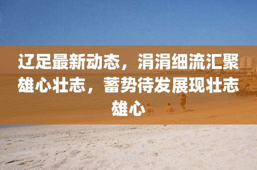 遼足最新動態(tài)，涓涓細流匯聚雄心壯志，蓄勢待發(fā)展現(xiàn)壯志雄心
