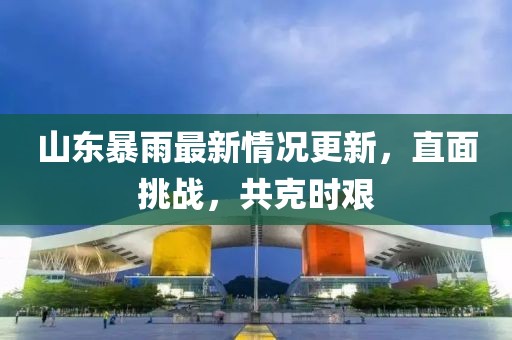 山東暴雨最新情況更新，直面挑戰(zhàn)，共克時艱