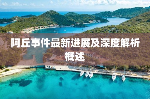 阿丘事件最新進展及深度解析概述