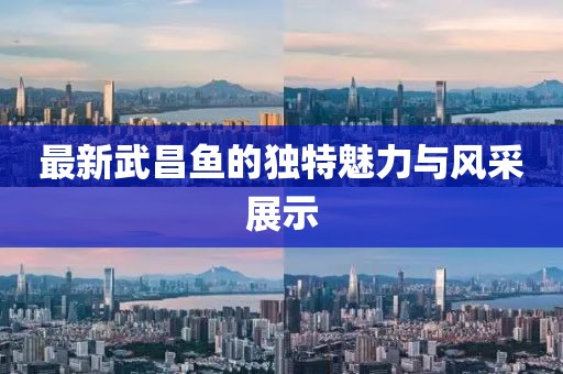 呼吸的聲音 第4頁(yè)