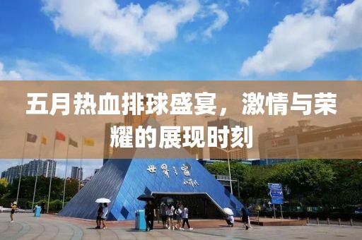 五月熱血排球盛宴，激情與榮耀的展現(xiàn)時(shí)刻