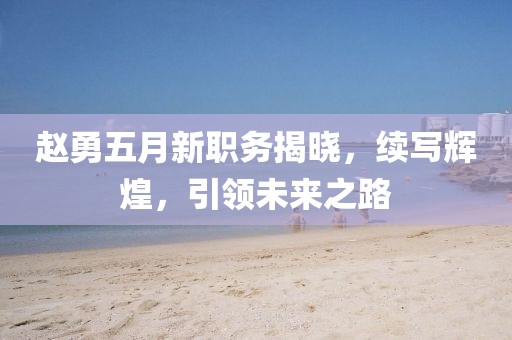 趙勇五月新職務(wù)揭曉，續(xù)寫(xiě)輝煌，引領(lǐng)未來(lái)之路