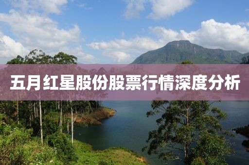 五月紅星股份股票行情深度分析