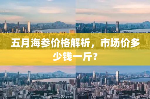 五月海參價(jià)格解析，市場(chǎng)價(jià)多少錢一斤？
