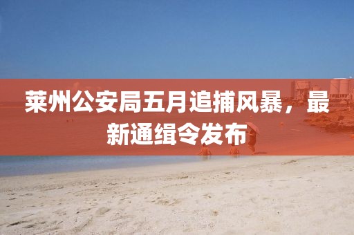 萊州公安局五月追捕風暴，最新通緝令發(fā)布