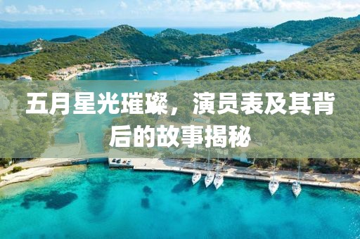 五月星光璀璨，演員表及其背后的故事揭秘