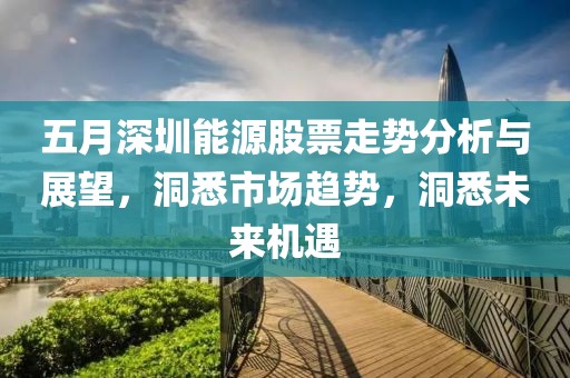五月深圳能源股票走勢分析與展望，洞悉市場趨勢，洞悉未來機遇
