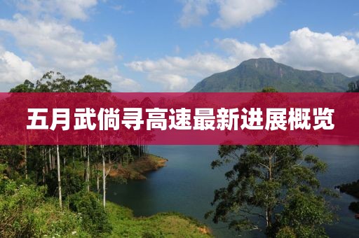 五月武倘尋高速最新進展概覽
