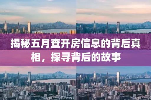 揭秘五月查開房信息的背后真相，探尋背后的故事