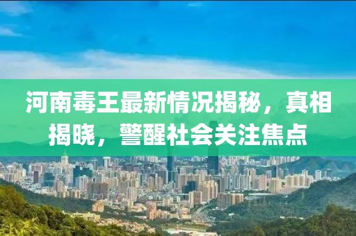 河南毒王最新情況揭秘，真相揭曉，警醒社會(huì)關(guān)注焦點(diǎn)