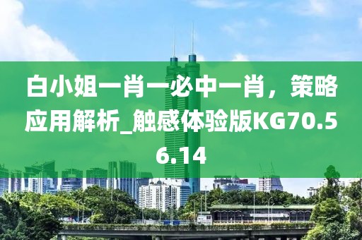 白小姐一肖一必中一肖，策略應(yīng)用解析_觸感體驗(yàn)版KG70.56.14